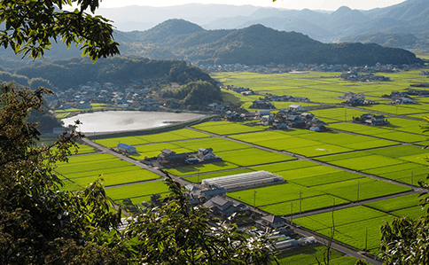 農地関連業務